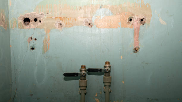 Best Local water damage restoration  in Brownstown, PA