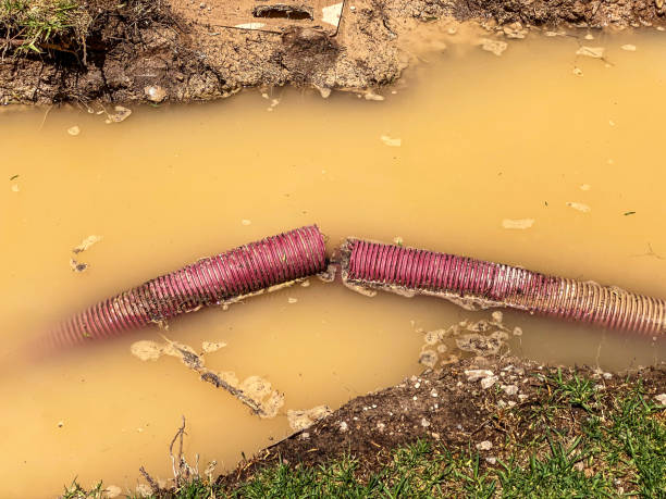  Brownstown, PA Water damage restoration Pros